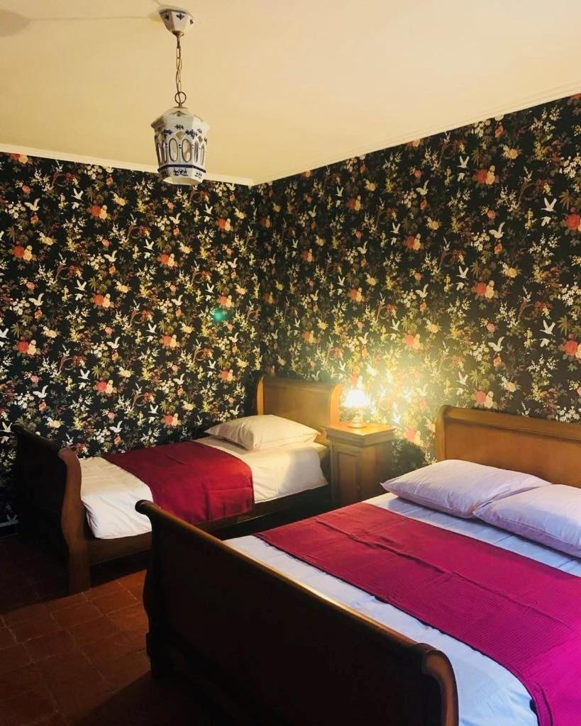 La Babayaga Bed & Breakfast Capestang Dış mekan fotoğraf