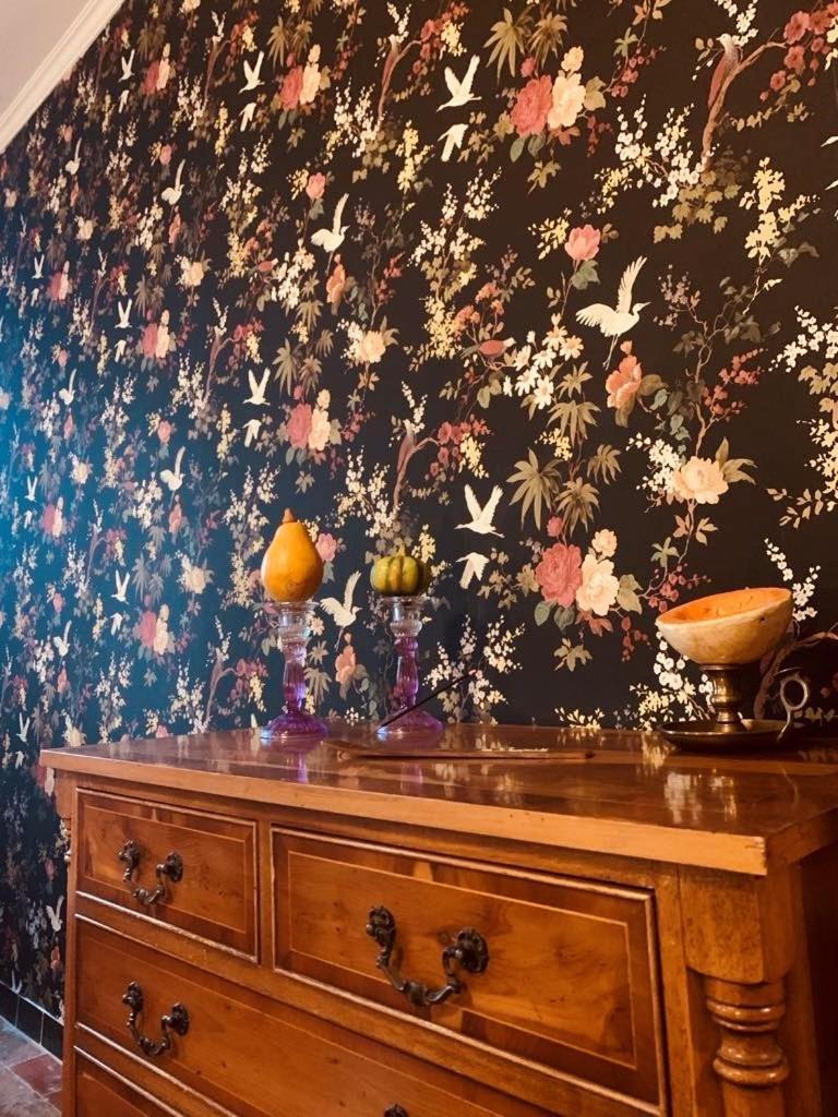 La Babayaga Bed & Breakfast Capestang Dış mekan fotoğraf